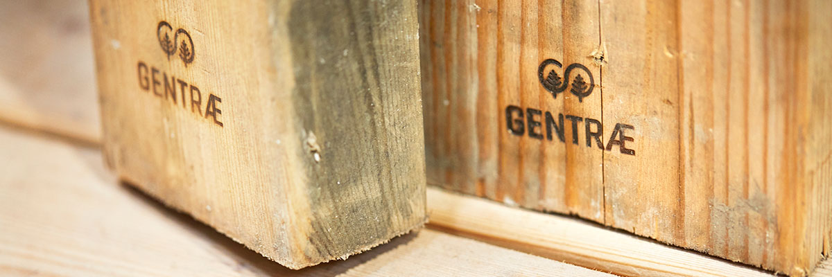 STARK GENTRÆ er genbrug af midlertidig træ fra byggepladsen