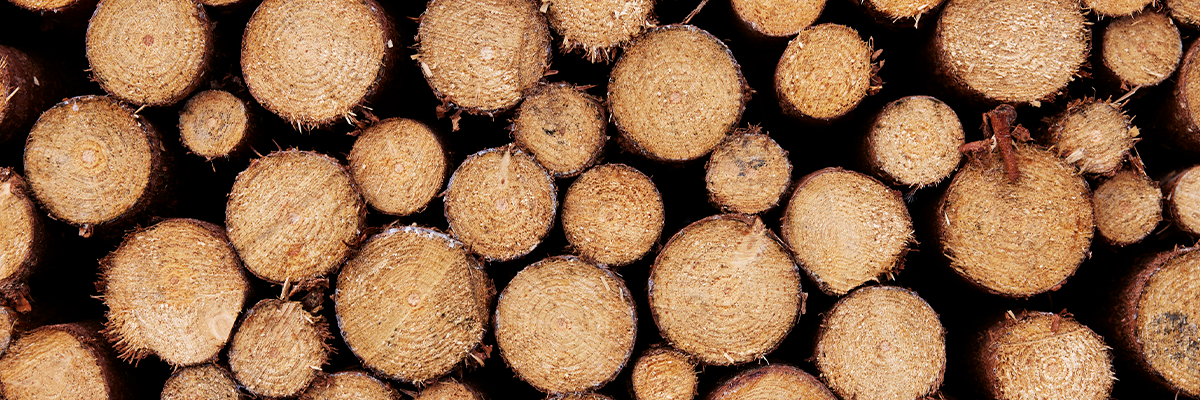 Hos STARK finder du et stort udvalg af byggematerialer med miljømærker og certificeringer, herunder også miljøcertificering på træ.